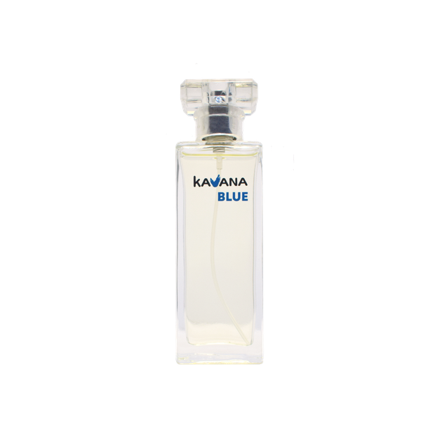 Туалетная вода для женщин KAVANA BLUE Аромат 50 мл - изображение 3