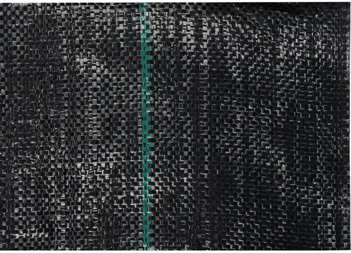 Agrotkanina Flo 50 x 1.6 m 90 g/m² (91052_f) - obraz 2