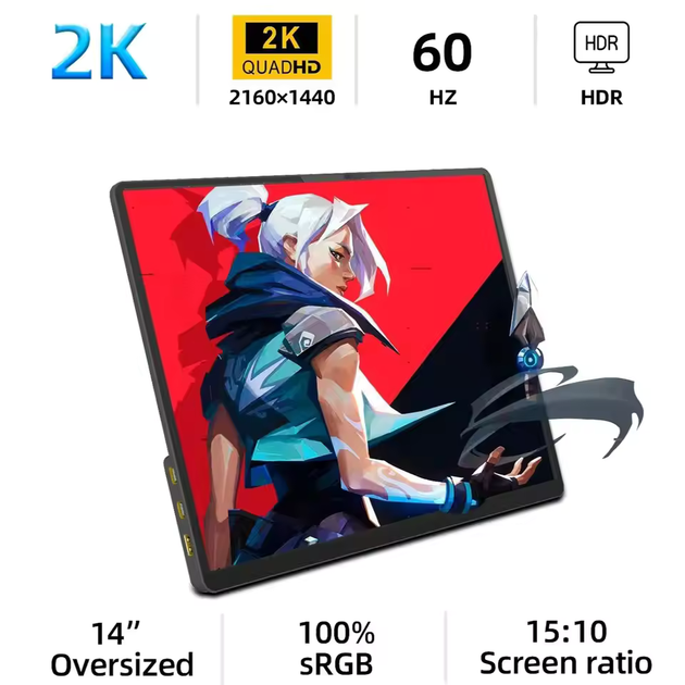 Портативный монитор ZSUS 14A-2K 14" 2K IPS USB-C - изображение 2