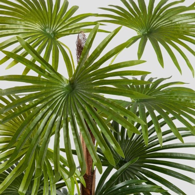 Штучна рослина Homla Tropical Zone пальма 150 cм (5906496740626) - зображення 3