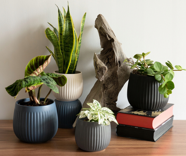 Osłonka ceramiczna na doniczkę Kadax Vario Szara 14 cm (5903699478202) - obraz 5