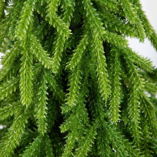 Choinka sztuczna na pieńku HOMLA 714412 Hector 55 cm Zielona (5906496714412) - obraz 3