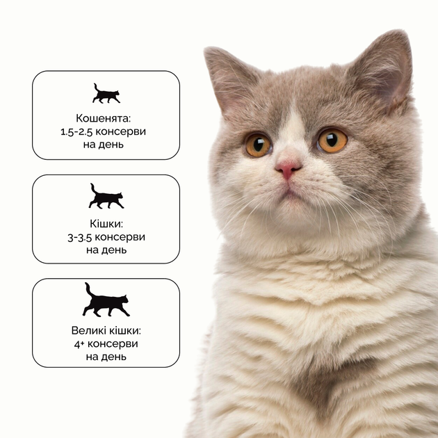 Консервированный корм Cherie Hairball Control Tuna & Snapper влажный корм для кошек с кусочками тунца и луциана в соусе с эффектом выведения шерсти у кошек 80 г (CHT17003) - изображение 6