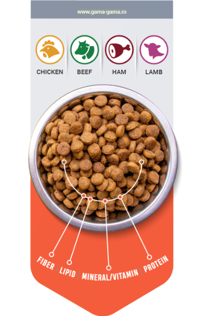 Сухий корм для дорослих собак Thank'Q Standart смак шинка 10 кг - зображення 2