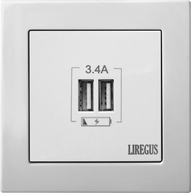 Розетка Liregus USB Charger White (IUK-2-01E/B) - зображення 1