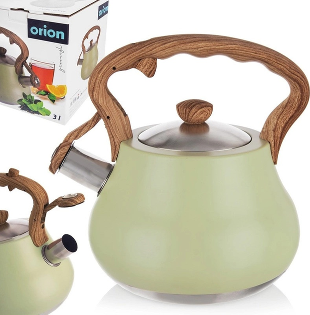 Чайник Orion Greenish зі свистком сталевий Зелений 3 л (8592381196950) - зображення 4