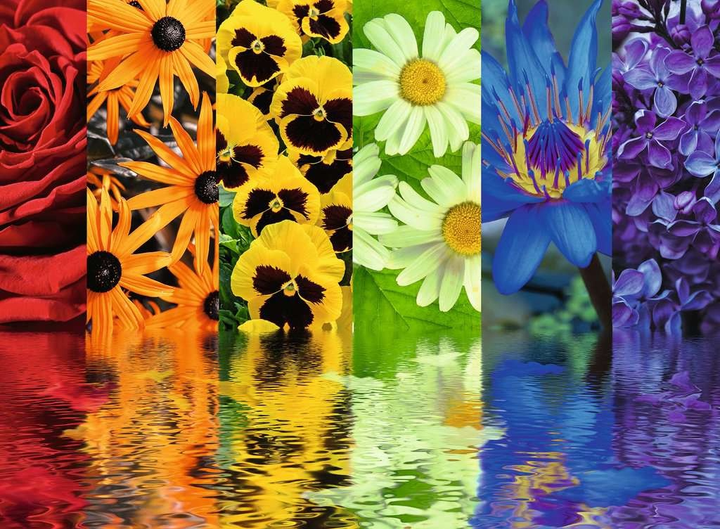 Puzzle Ravensburger Kwiaty 500 elementów 12000213 (4005555002130) - obraz 2
