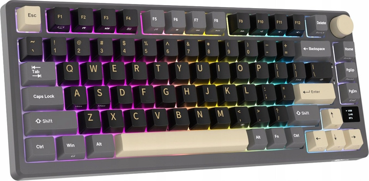 Klawiatura bezprzewodowa RK ROYAL KLUDGE M75 RGB K Silver Switch Phantom (RK-M75-PHNTM-KSLVSW-US) - obraz 2