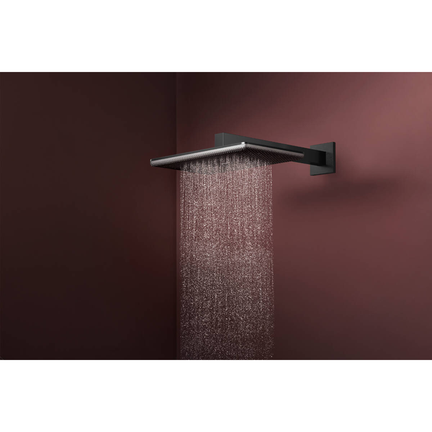 Лейка верхнего душа HANSGROHE RAINDANCE ALIVE 24530340 - изображение 3