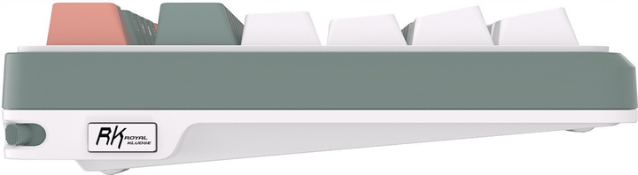 Klawiatura bezprzewodowa RK ROYAL KLUDGE S98 RGB Brown Switch Camping Green (RK-S98-CAMPGRN-BRNSW-US) - obraz 8