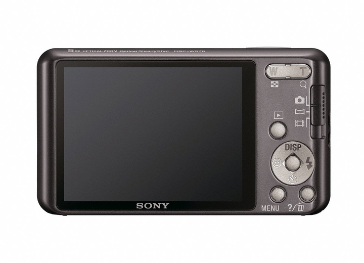 SONY - dk さまSONY  Cyber-shot Sony Cyber-Shot DSC-W570 Silver (Англ. меню) купити на