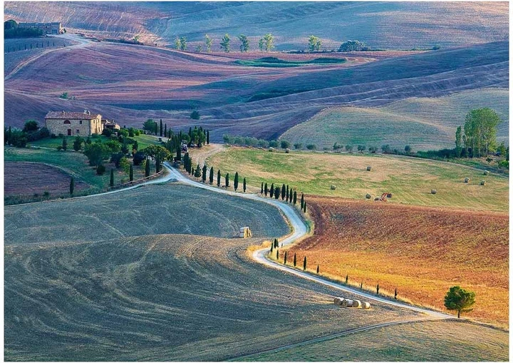 Puzzle Ravensburger Toskania 1000 elementów 12000538 (4005555005384) - obraz 2