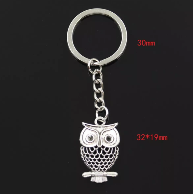 Брелок металлический для ключей, сумок, рюкзаков "Сова / Owl JA5" Серебристый - Фото 2 Брелок металлический для ключей, сумок, рюкзаков "Сова / Owl JA5" Серебристый - изображение 2