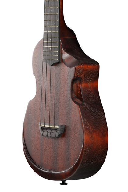 Укулеле Ibanez AUC14 OVL - изображение 5