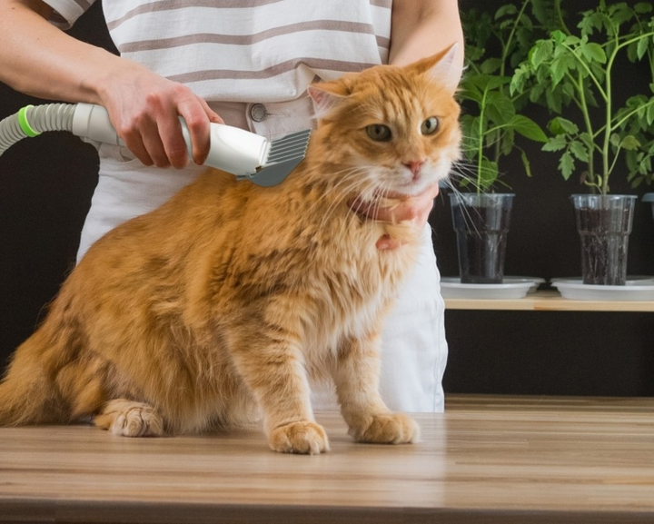 Набір для догляду за домашніми тваринами Technaxx Lifenaxx LX-052 (4260358128597) - зображення 7