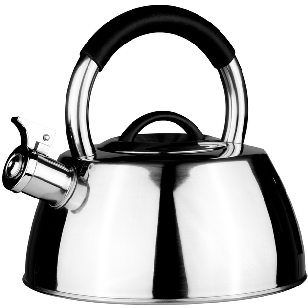 Чайник Domoletti CWT003B срібний 3 л (4772013450382) - зображення 1