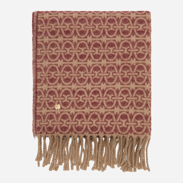 Шарф жіночий Coccinelle Monogram E7RCZ310201 M14 Коричневий (800070345992) - зображення 1