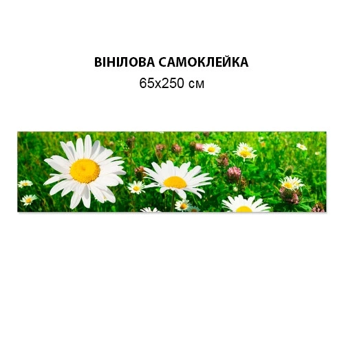 Наклейка на кухонный фартук 65 х 250 см, фотопечать с защитной ламинацией Ромашка (БП-s_fl11399-2)(БП-13-s_fl11399) - изображение 4