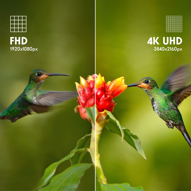 Телевізор Thomson 75" 75UG5C14 (75UG5C14) - зображення 7