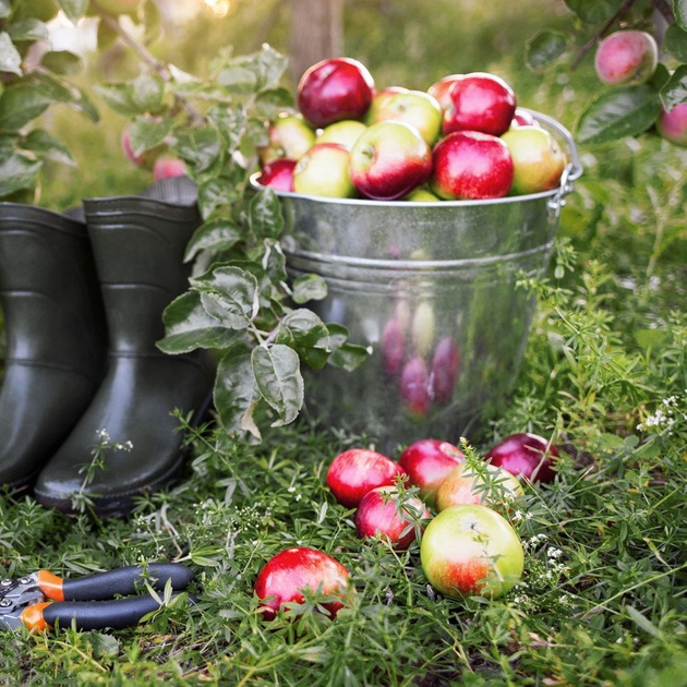 Відро харчове Orion сталеве Сріблясте 14 л (8592381118846) - зображення 5