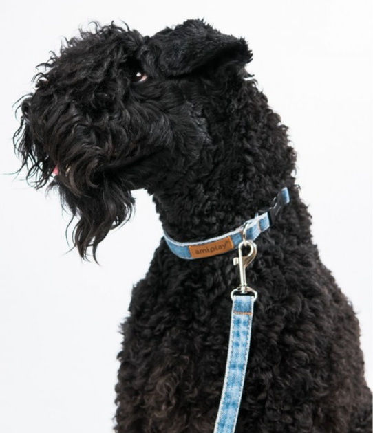 Obroża dla psa Comfy by AquaEl AMIPLAY regulowana M Denim Niebieska (5907563271586) - obraz 3