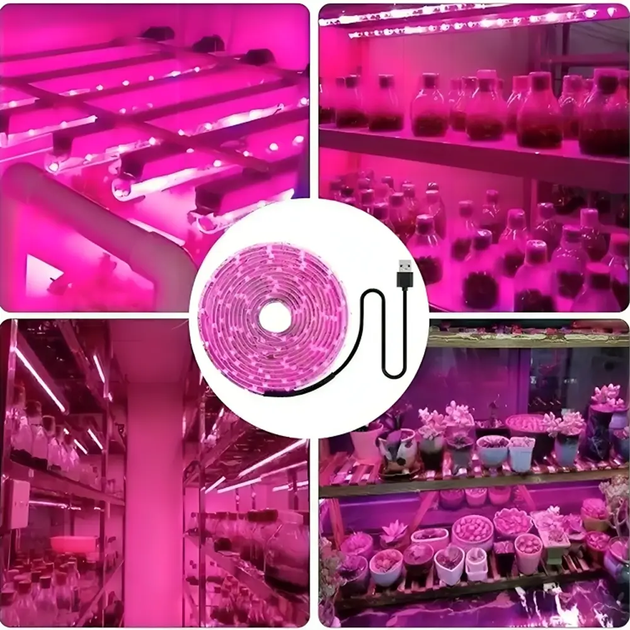 Світлодіодна фітострічка для рослин, від мережі, USB 5 м/LED стрічка для розсади (L) - зображення 2