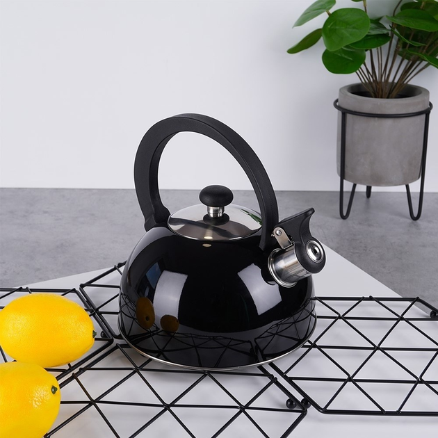 Czajnik Orion z gwizdkiem stalowy Czarny 1.5 l (8592381131579) - obraz 8