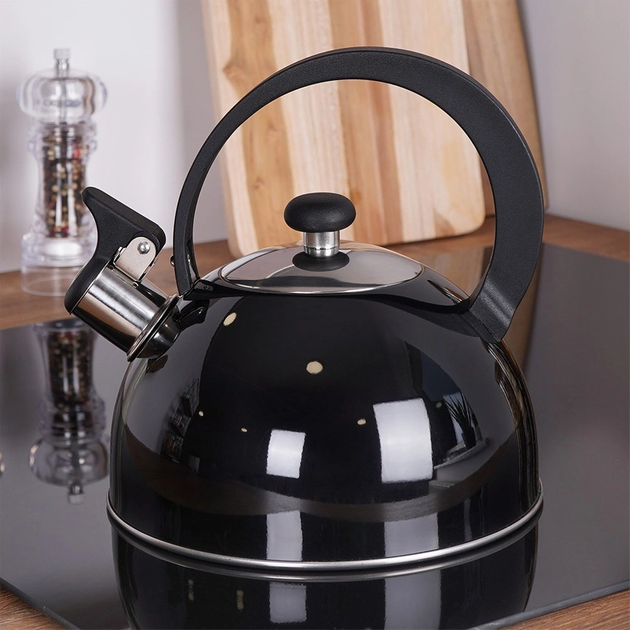 Czajnik Orion z gwizdkiem stalowy Czarny 1.5 l (8592381131579) - obraz 9