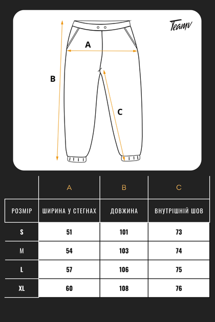 Мужские брюки карго теплые на флисе Teamv OVERSIZE Графит L - Фото 8 Мужские брюки карго теплые на флисе Teamv OVERSIZE Графит L - изображение 8