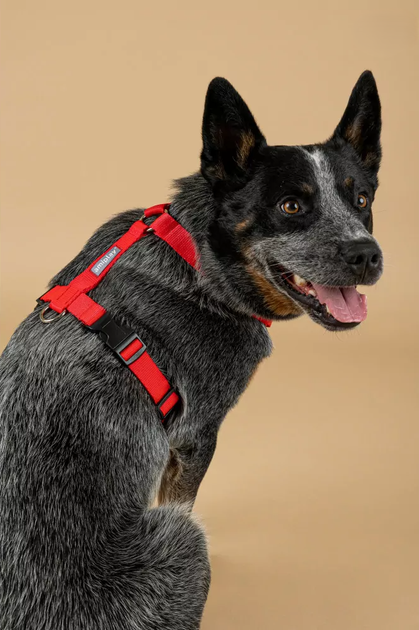 Шлея регульована для собак Amiplay Guard Popular L Чорно-рожева (5907563315358) - зображення 5