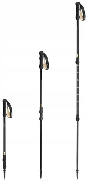 Kije trekkingowe Spokey TRAIL (5905339448279) - obraz 3