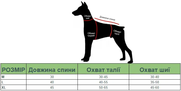 Труси-боді гігієнічні для собак сині з принтом динозавр XL - Фото 4 Труси-боді гігієнічні для собак сині з принтом динозавр XL - зображення 4