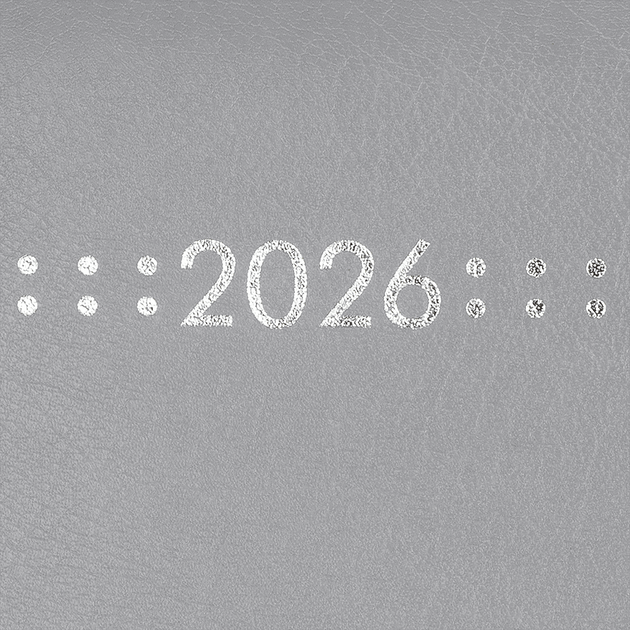 Ежедневник датированный 2026 Buromax Classic А5 из бумвинила с поролоном 336 страниц серый (BM.21121-09) - изображение 3