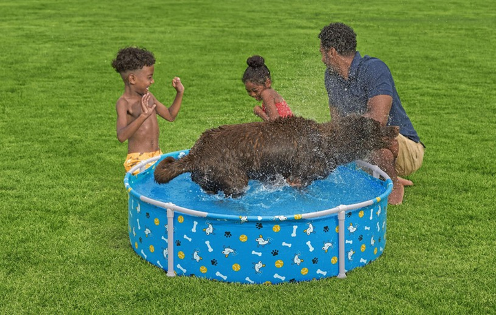 Basen stelażowy Bestway 7035077004 dla zwierząt domowych Fetching Fun 122 cm (6941607366028) - obraz 7