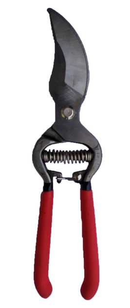 Секатор садовий 250 мм Intertool FT-1004 - Фото 2 Секатор садовий 250 мм Intertool FT-1004 - изображение 2