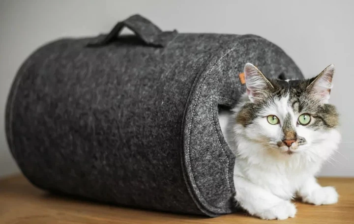 Tunel dla kota Amiplay Quick Press 2w1 Hygge Szary (5907563259805) - obraz 8