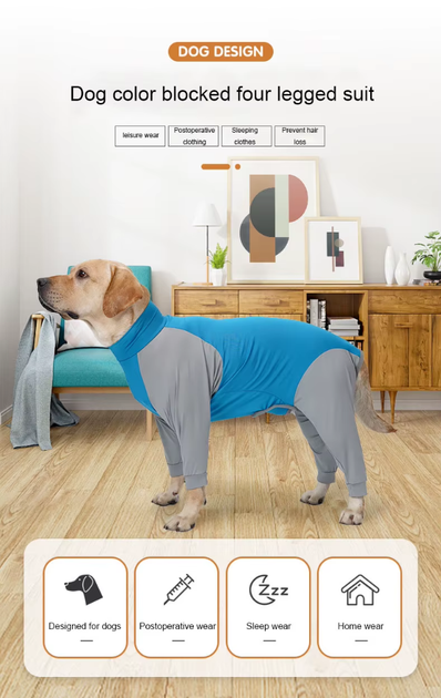 Пижама/попона для собак MOFESIPI Recovery Suit Blue&Grey S - изображение 2