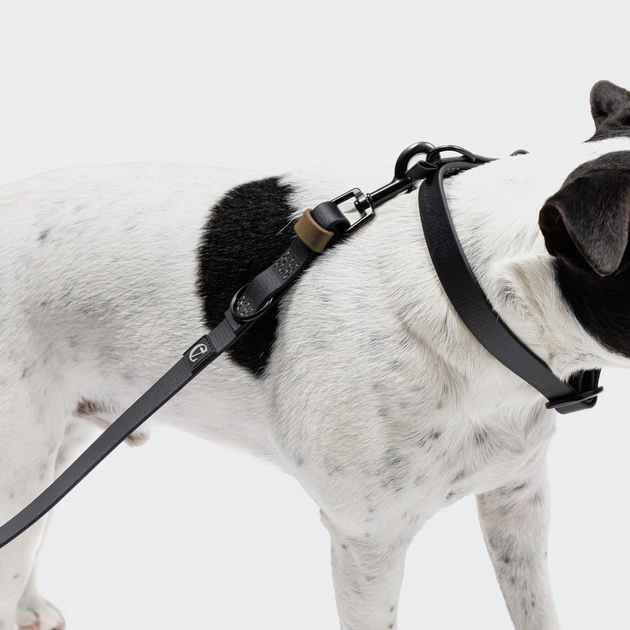 Біотановий повідець вільні руки для собак Cloud7 Hands-Free-Leash Ipanema Чорний 1,6 - 2,6 м One Size - изображение 3