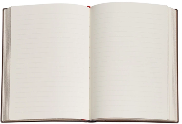 Записник Paperblanks Вшанування Ханьфу – Блакитна верба 13х18 см 144 сторінки в лінію PB98959 (9781439798959) - зображення 4