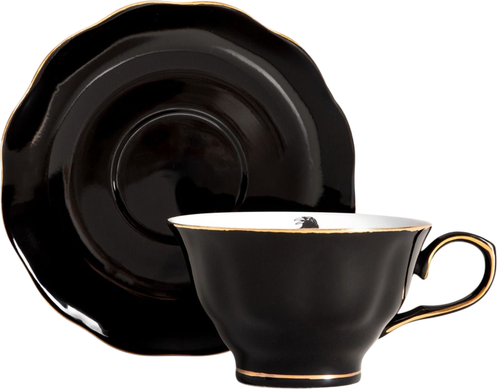 Filiżanka ze spodkiem Homla Barik czarna z krukiem 150 ml (5906496750458) - obraz 1