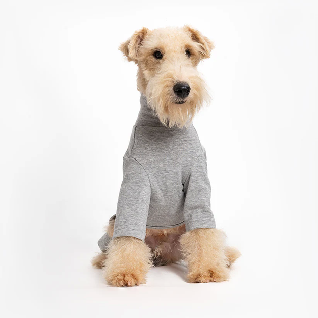 Базовый комбинезон/пижама для собак V.PET.B.R. Dog Jumpsuit CF36 Grey, XS - Фото 4 Базовый комбинезон/пижама для собак V.PET.B.R. Dog Jumpsuit CF36 Grey, XS - изображение 4