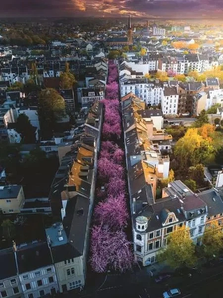 Puzzle Ravensburger Bonn Niemcy 1500 elementów 12000730 (4005555007302) - obraz 2