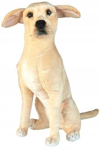 М’яка іграшка Dubi Собака Лабрадор 65 см 33574 (5905965333574) - зображення 1