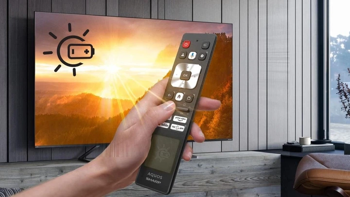Телевізор Sharp 55GR8765E - зображення 12