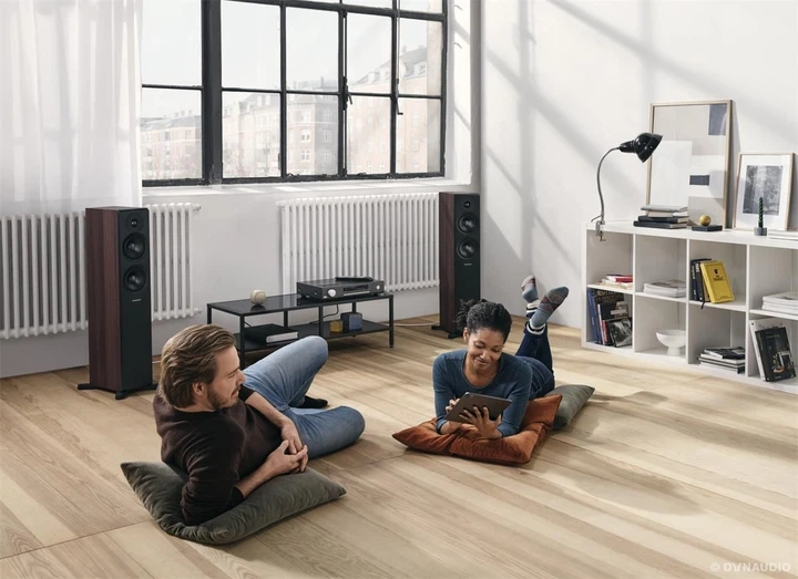 Акустичні колонки Dynaudio Emit 30 Nut - изображение 3