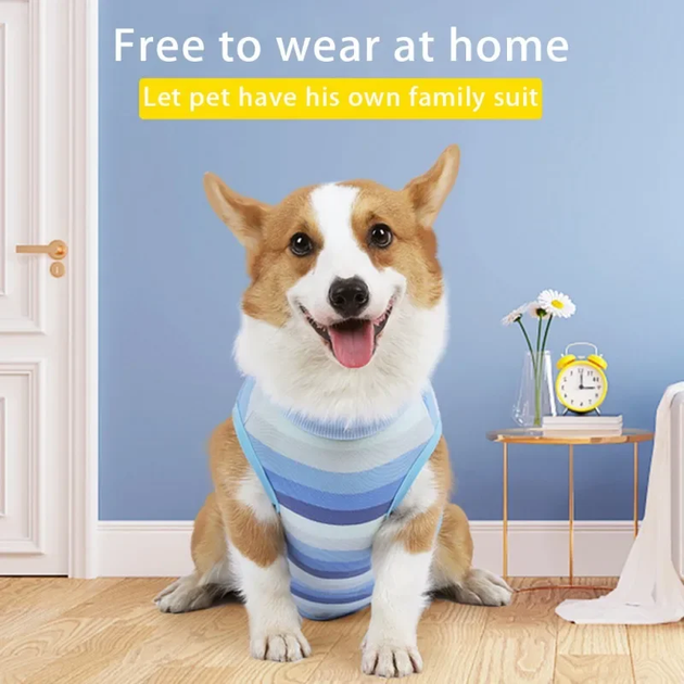 Костюм для восстановления собак WanTalk Striped Recovery Suit, Blue, S - Фото 3 Костюм для восстановления собак WanTalk Striped Recovery Suit, Blue, S - изображение 3
