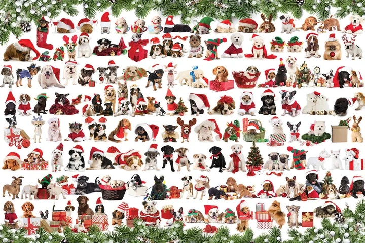 Puzzle Eurographics Holiday dogs 1000 elementów 8051-0939 (628136309394) - obraz 2