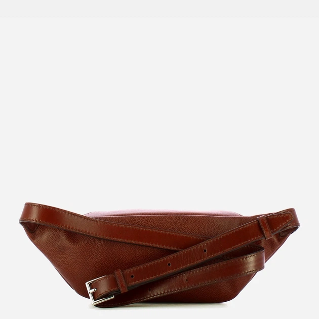 Сумка на пояс бананка чоловіча з натуральної шкіри The Bridge Biagio 474602AG 90 Коричнева (800070314127) - зображення 2