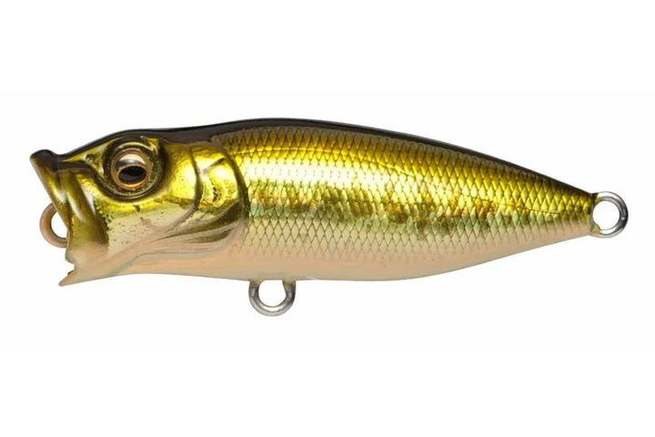 Воблер Megabass Baby PopX 50F 5.3г, цвет: GG BASS (4119021001) - Фото 1 Воблер Megabass Baby PopX 50F 5.3г, цвет: GG BASS (4119021001) - изображение 1