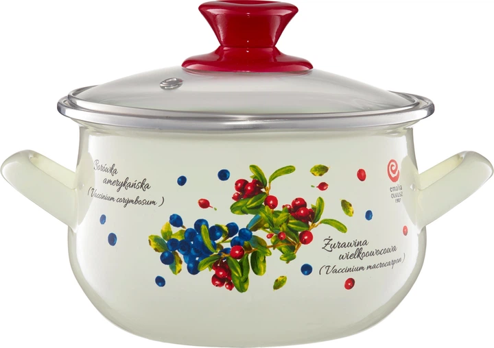 Каструля Emalia Olkusz Borówka емальована Біло-червона 20 см 4.2 л (5904134230270) - зображення 2